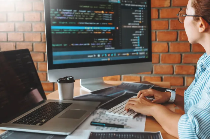 Custom Application Development Custom Application Development
